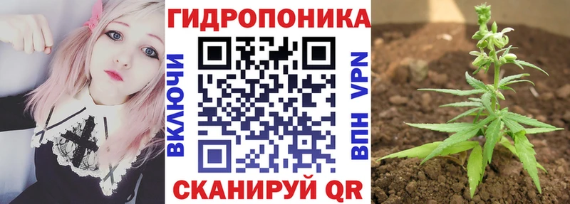 darknet какой сайт Светлоград Шишки марихуана White Widow